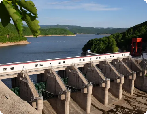 Training and Capacity Building