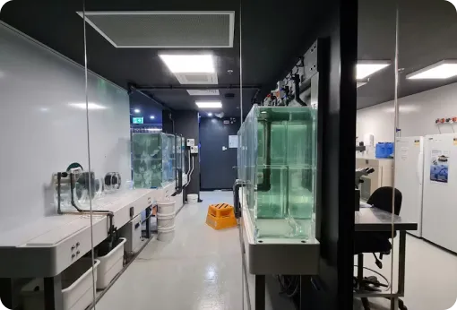 Sustainability Impact